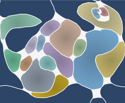Neurodrawing: flowing white lines enclosing soft, colorful shapes on a navy background